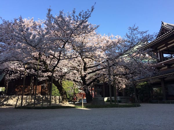Fukuoka